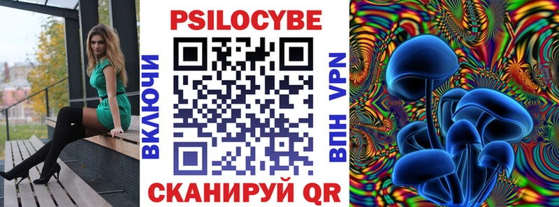 сколько стоит  Озёры  omg зеркало  Псилоцибиновые грибы GOLDEN TEACHER 